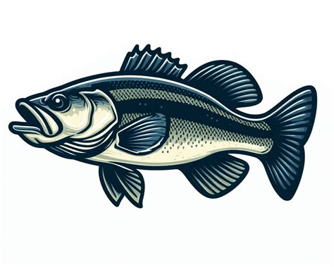 Bass Fish Clipart Png Images ClipartWorld