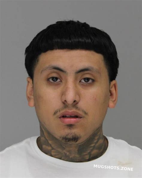 Ramirez Luis Dallas County Mugshots Zone