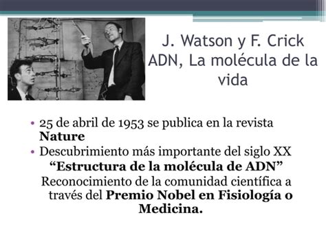 Estructura Molecular Del Adn Watson Y Crick