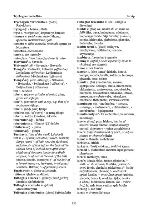 English Sesotho Bilingual Dictionary