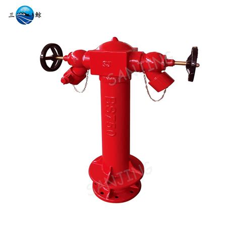 Bs750 Pillar Hydrant Wet Type Fire Hydrant China Pillar Hydrant And