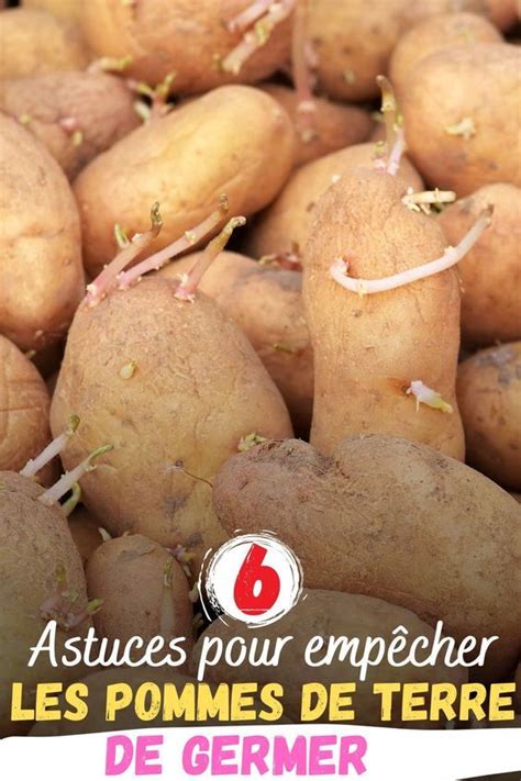 6 astuces pour empêcher les pommes de terre de germer Conserver pomme