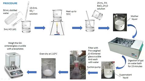 Chemistry Practical Bsc Hons Analysis Of So Ions In A Sample