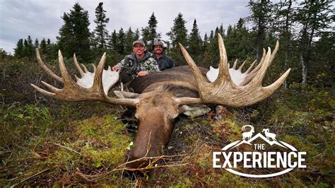 Giant Alaskan Yukon Moose Grand Slam Club Ovis North American Big Game