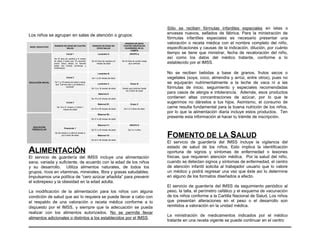 Descripcion de servicio de guardería para niños PPT