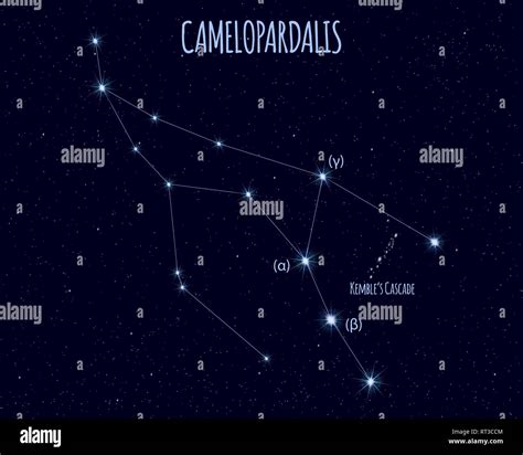 Camelopardalis (The Giraffe) constellation, vector illustration with ...