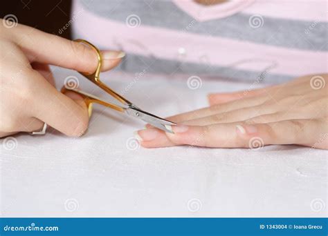 Woman Cutting Nails Stock Photo Image Of Hands Manicure 1343004