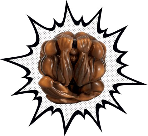 Biscuit Oliva New Figure Rgrapplerbaki
