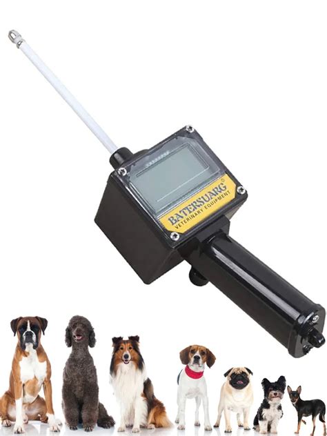 C O Profissional Detector De Ovula O Tester Gravidez Planejamento