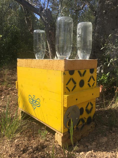 Quand Et Comment Nourrir Les Abeilles Avec Du Sirop La Ruchetic