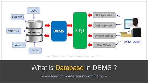 What Is Database Beginners Introduction To Database In Dbms Youtube