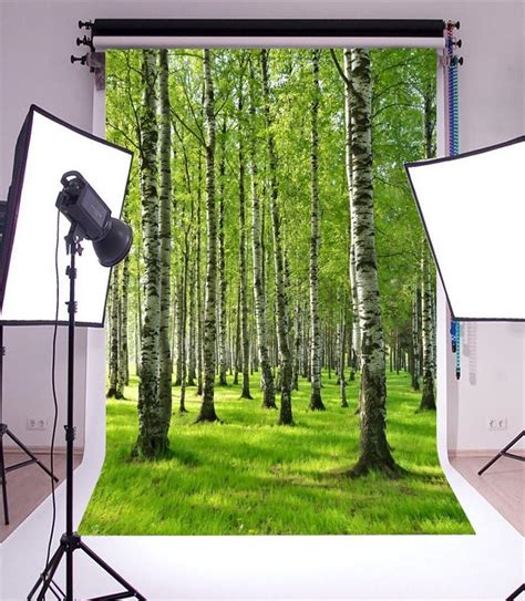 YongFoto 2x3m Vinyl Foto Hintergrund Nature RIC Birch Gras Feld