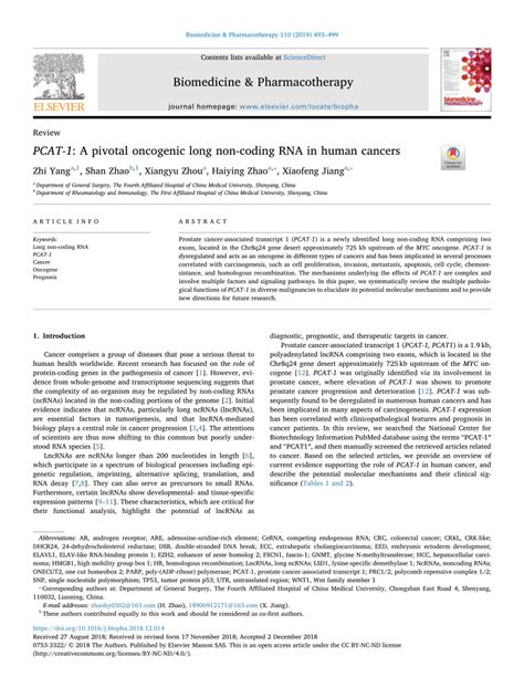 PDF PCAT 1 A Pivotal Oncogenic Long Non Coding RNA In Human Cancers