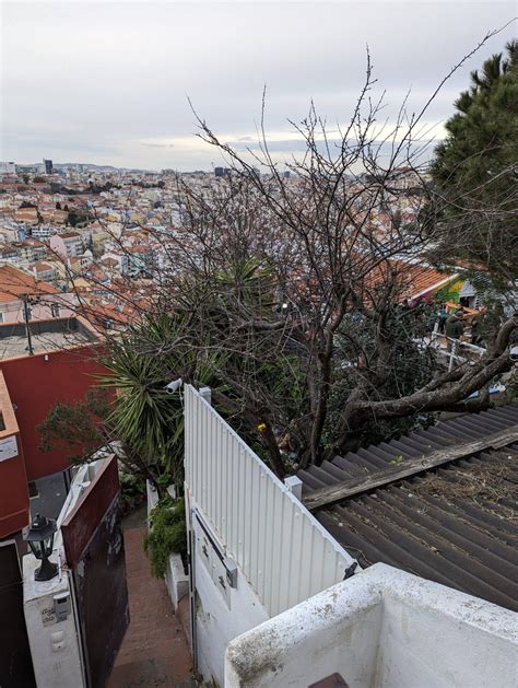 Rooftop Bars Lissabon Globusentdeckerin