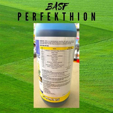 Basf Perfekthion Ec Insecticide Ye Lazada Ph