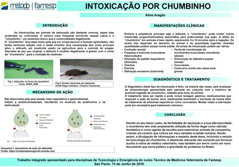 Sintomas De Envenenamento Por Chumbinho - Banner Intoxicação POR Chumbinho - As intoxicações em animais de ...