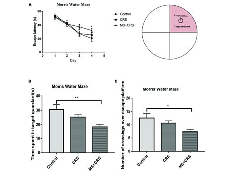 Behavioral Changes In The Morris Water Maze Mwm A Escape Latency