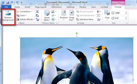 How To Remove The Background Of An Image In A MS Word 2010 Document