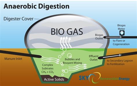 How To Build An Aerobic Digester Phaseisland17