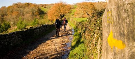 Utracks Watch The Camino De Santiago On Slow Tv