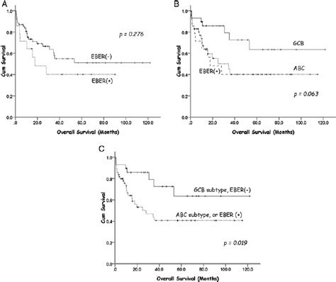 Kaplan Meier Estimates Of Overall Survival Os For Dlbcl Patients