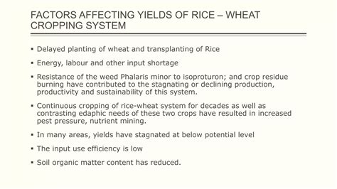 Rice Wheat Cropping System Its Prevalence And Its Presentationpptx