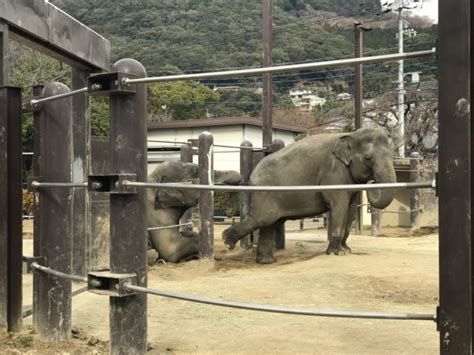 徳山動物園のリニューアル知ってる？飼育and広報担当の重永さんに聞いたお薦めの過ごし方