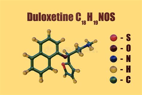 Structural Chemical Formula And Molecular Model Of Duloxetine An