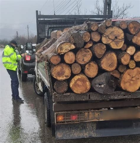 Transport Ilegal De Lemne Sucevean Amendat Cu 2 000 De Lei Botosaneanul