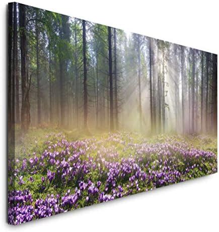 Paul Sinus Art Gmbh Wald X Cm Panorama Leinwand Bild Xxl Format