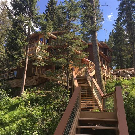 10 Tree-House Hotels in the U.S.