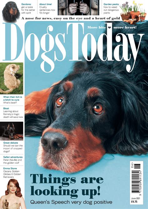 June 2021 Magazine Dogs Today Magazine