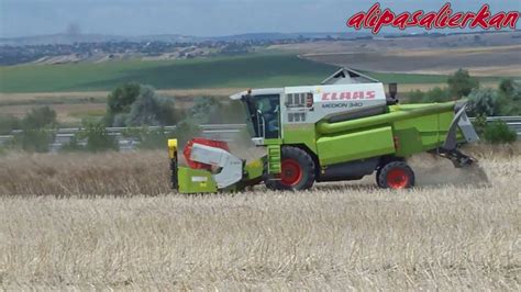 Claas Medion Is Harvesting The Canola Part Hd Video Kanola