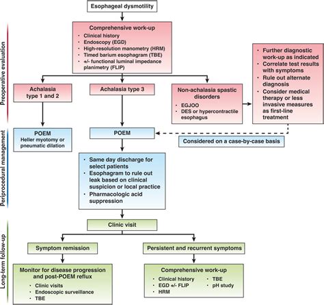 Aga Clinical Practice Update On Advances In Per Oral Endoscopic Myotomy