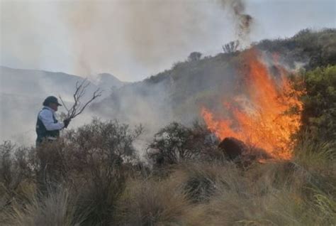 Arequipa Caylloma Forma Primera Brigada Forestal De Voluntarios Para