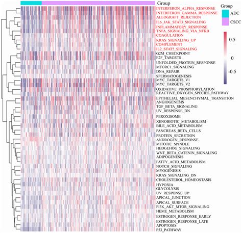 Immune Landscape And Heterogeneity Of Cervical Squamous Cell Carcinoma