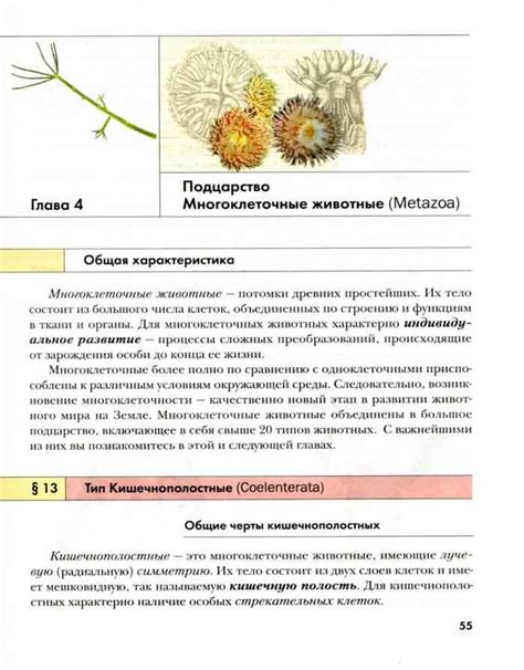 Учебник биология 7 класс Константинов читать онлайн