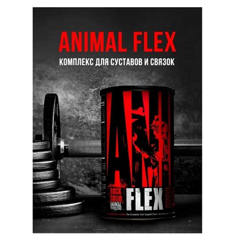 Animal Flex (Энимал Флекс) витамины купить в Спб для суставов и связок.