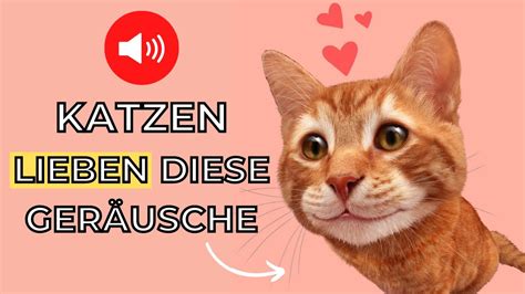 5 Klingt Katzen lieben geräusche katzen anlocken YouTube