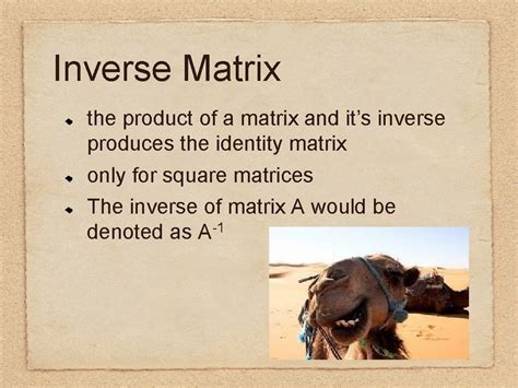 2 5 Determinants Multiplicative Inverses Of Matrices Determinant