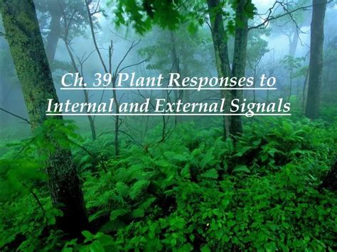 Ppt Ch 39 Plant Responses To Internal And External Signals