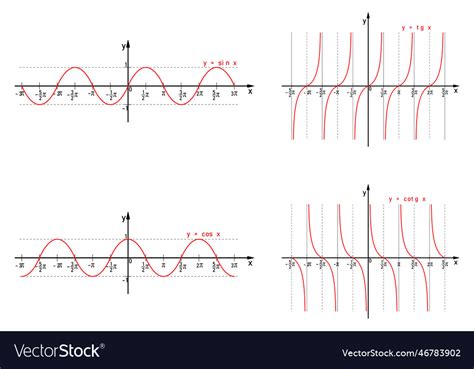 Sine cosine tangent and cotangent function Vector Image