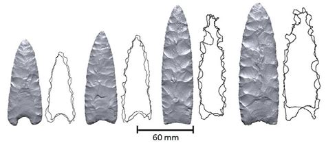 3-D imaging adds remarkable new understanding of North America's ...