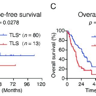 The Relationship Between S Tls And Lymph Node Metastasis A