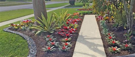 Low Maintenance Plants For Florida Landscaping At Beverly Aguilar Blog