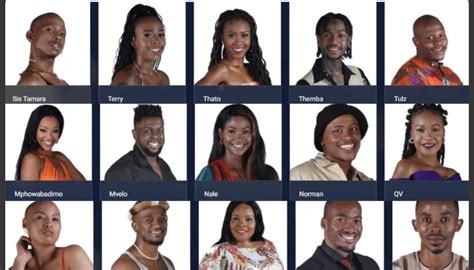 Who Gets Evicted From Big Brother Mzansi Revealed Newsfinale