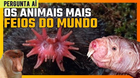 Os Animais MAIS FEIOS Do Mundo YouTube