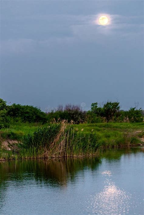 Moonbeam In River Stock Image Image Of Dark Color Glowing