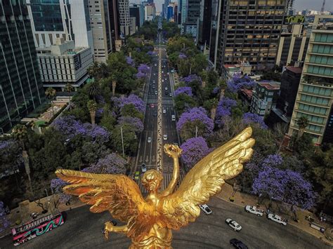 Cúal Es Dónde Está Y Qué Significa La Nueva Escultura Que Colocaron En Paseo De La Reforma