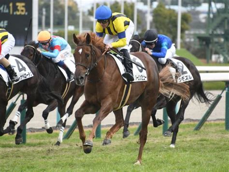 【阪神5r新馬戦結果】アルーリングビューが直線で抜け出し人気に応える 競馬ニュース Netkeiba